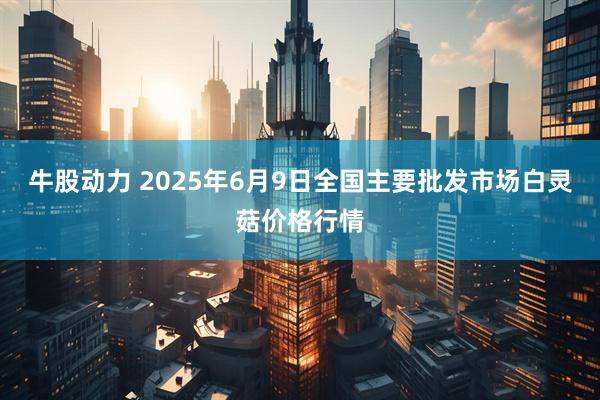 牛股动力 2025年6月9日全国主要批发市场白灵菇价格行情