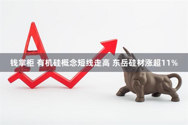钱掌柜 有机硅概念短线走高 东岳硅材涨超11%