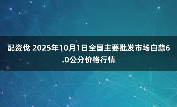 配资伐 2025年10月1日全国主要批发市场白蒜6.0公分价格行情