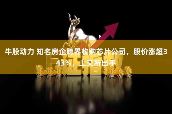 牛股动力 知名房企跨界收购芯片公司，股价涨超343%，上交所出手